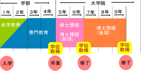 教育課程解説図